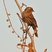 Red-winged Blackbird
